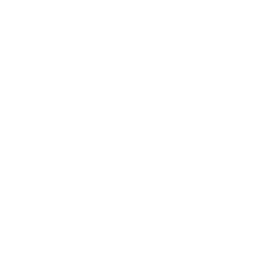 Desarrollo de software y soluciones digitales